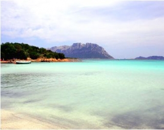 Excursiones en barco Tavolara 